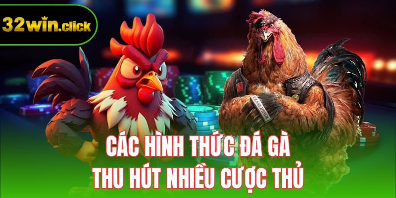Các hình thức đá gà thu hút nhiều cược thủ